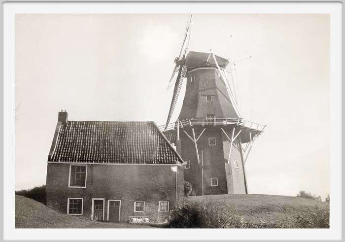 dokkum mill