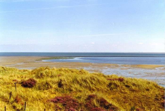 TerschellingWaddenzee