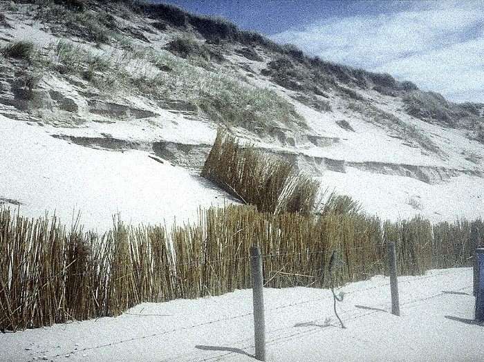 CamperduinJongeDuinen